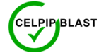 online celpip training in lagos state